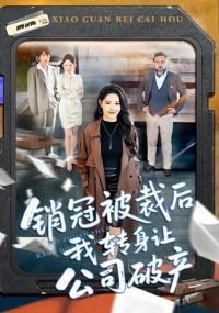 ���ڱ��ú���ת���ù�˾�Ʋ�